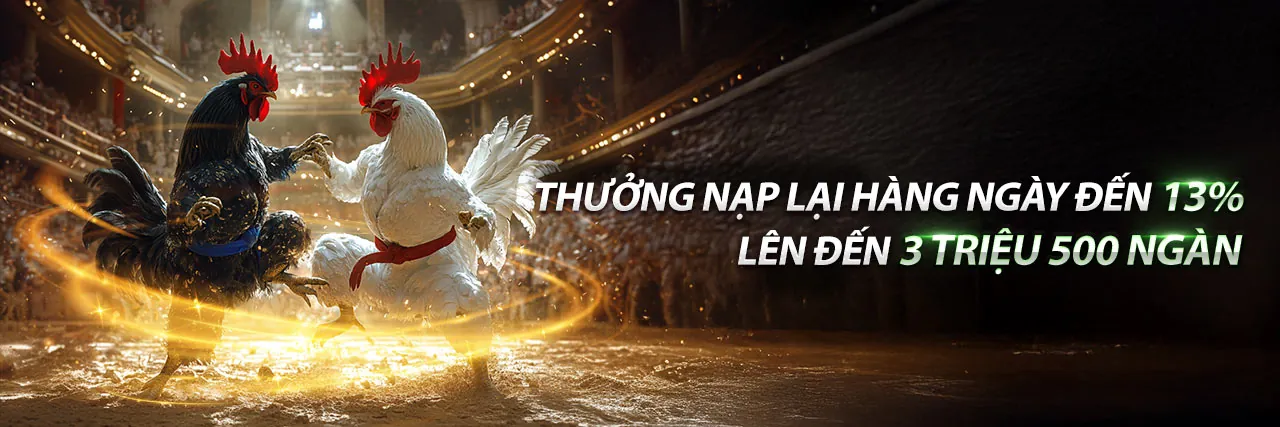 Chương trình VIP độc quyền PKBET